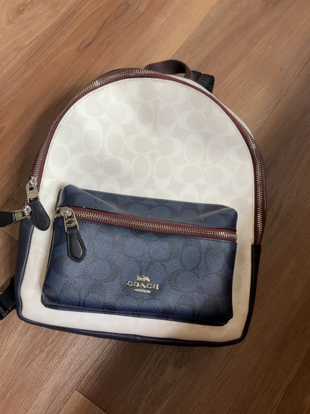 Coach Signature Backpack